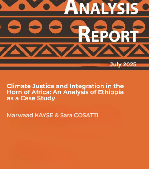 Climate Justice and Integration in the Horn of Africa: An Analysis of ...