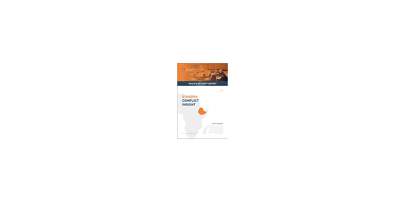 Ethiopia Conflict Insight