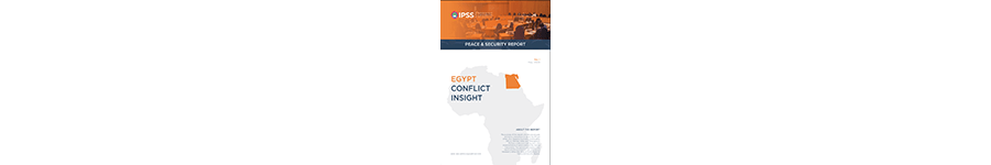 Egypt Conflict Insight