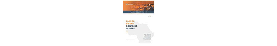 Guinea Bissau Conflict Insights