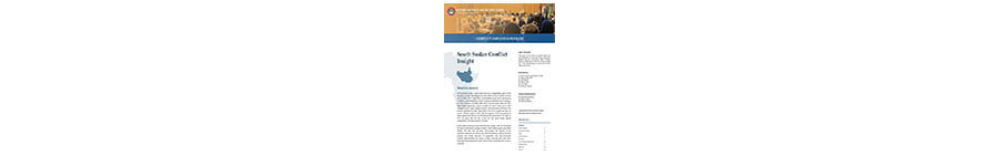 South Sudan Conflict Insight